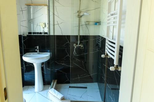 a bathroom with a sink and a shower at Hotel Sunny in Batumi