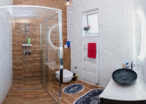 a bathroom with a shower with a toilet and a sink at Mali Wimbledon in Visoko