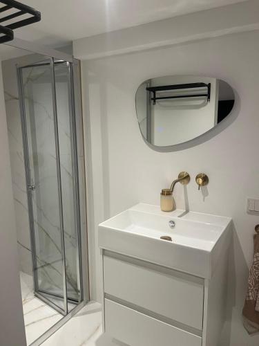 a bathroom with a sink and a glass shower at WaalPlaat's B&B in Amsterdam