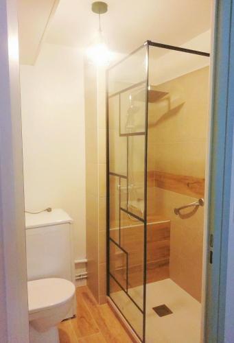 une salle de bain avec toilettes et douche en verre dans l'établissement Apt 3 étoiles Piscine Tennis 2adultes et 2enfants, à Aix-les-Bains