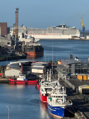 a group of boats docked in a harbor with a cruise ship at James Clow Bed & Breakfast in Belfast
