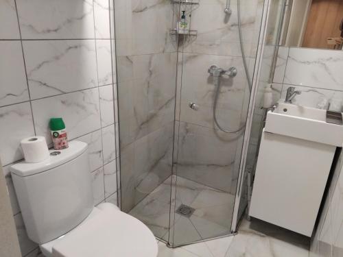 een badkamer met een douche, een toilet en een wastafel bij Apartamentai Gintaras in Palanga