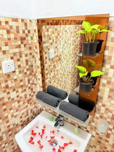 a bathroom with a sink and a mirror at Liana Guest House Ella in Ella