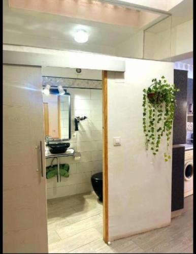 a bathroom with a toilet and a door with a plant at Loft CENTRO Con Parking privado GRATIS in Talavera de la Reina