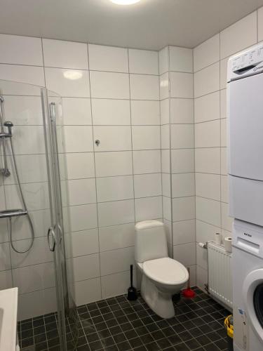 a bathroom with a toilet and a shower at Cozy double bed room near to Eslöv station in Eslöv