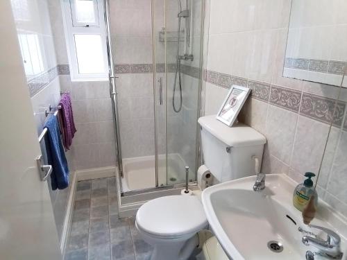 Koupelna v ubytování Holly Cottage Newcastle Emlyn