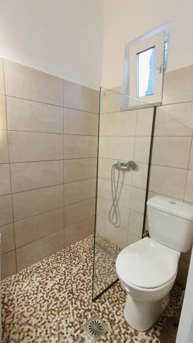 a bathroom with a toilet and a shower at Karavaki apartments in Keri