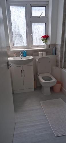 a bathroom with a toilet and a sink and a window at Langley One Bedroom Flat in Langley Station