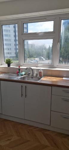 a kitchen with a sink and two windows at Langley One Bedroom Flat in Langley Station