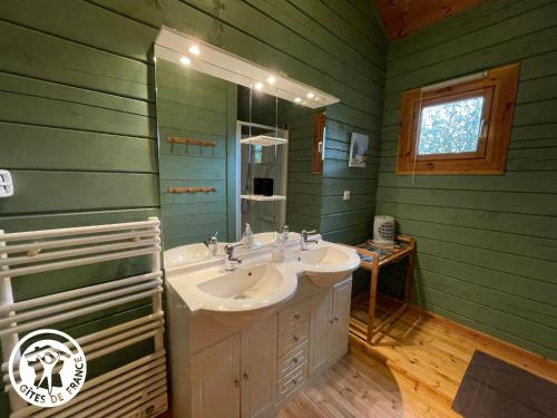 a green bathroom with a sink and a mirror at Charmante maison en bois pour 5 personnes avec terrasse et jardin - FR-1-426-580 in Réaumur