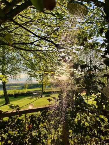 a view of a park with the sun shining through trees at Naturnära Fritidsboende, Trollebo - YinTorp in Arkelstorp
