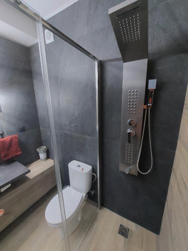 VS Luxury Apartment - Athens Airport Free Transportation