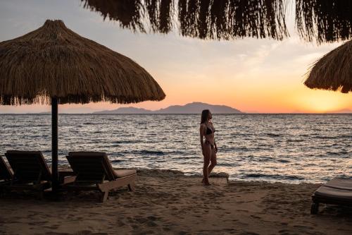 a woman standing on the beach at sunset at The Grand Hotel Sharm El Sheikh in Sharm El Sheikh