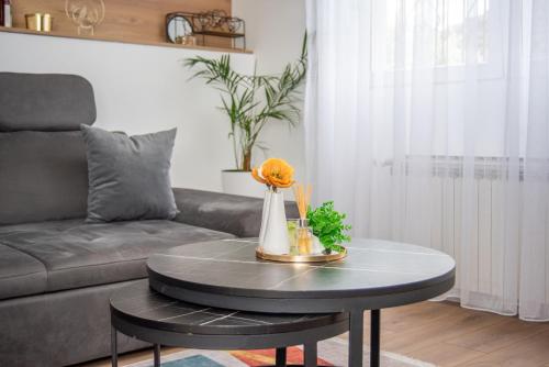 Χώρος καθιστικού στο Apartment Mey