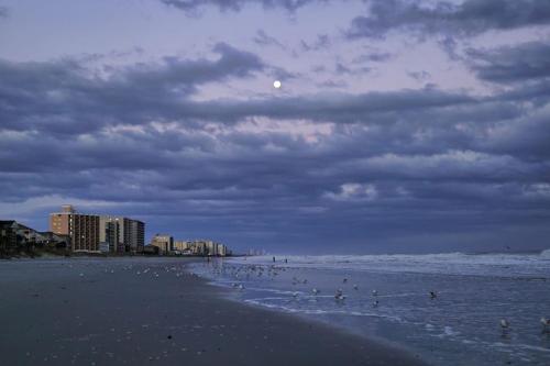 a beach with a group of people in the water at Bungalow Bliss ※ Beach Cottage Blocks From Ocean in Myrtle Beach