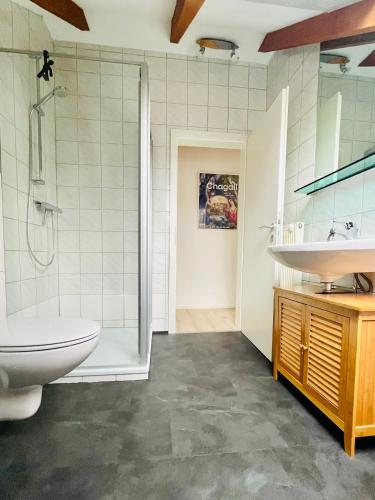 a bathroom with a shower and a sink and a toilet at Zieleckblick in Bad Sooden-Allendorf