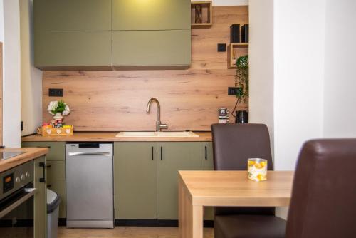 Η κουζίνα ή μικρή κουζίνα στο Apartment Mey