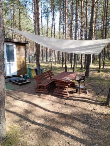 a picnic table and a tent in the woods at Zew Natury in Skorka