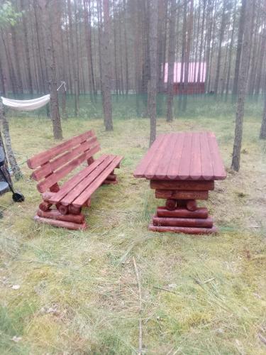 two benches and a picnic table in the woods at Zew Natury in Skorka