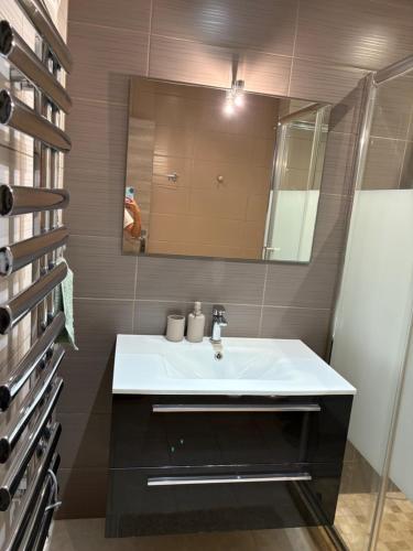 une salle de bain avec un lavabo blanc et un miroir dans l'établissement Elegant Apartment Terrace Port of Nice, à Nice