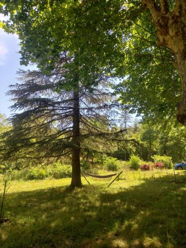 a tree in a field with a hammock under it at Dolce Vita in Saint-Laurent-le-Minier