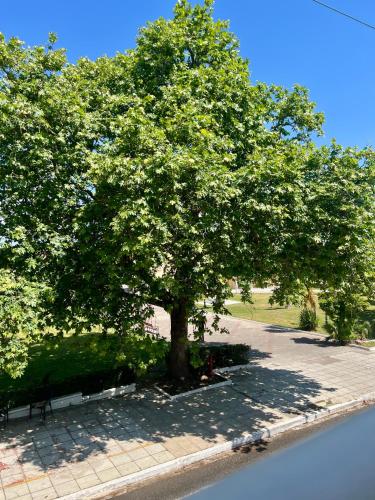 Fotografie z fotogalerie ubytování Aμvrosia Petalidi Square - Free WiFi, Smart TV, 2' λεπτά από την παραλία v destinaci Petalidhion