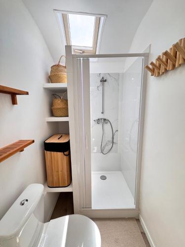 La salle de bains est pourvue d'une douche blanche et de toilettes. dans l'établissement Appartement central cosy et calme près de la gare, à Toulon