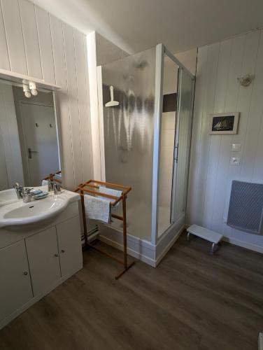 a bathroom with a shower and a sink at Le Mas de la Palmeraie - Mas 3 dans propriété privée au calme avec piscine et tennis in Bormes-les-Mimosas