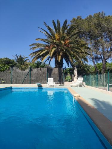 a swimming pool with two chairs and a palm tree at Le Mas de la Palmeraie - Mas 3 dans propriété privée au calme avec piscine et tennis in Bormes-les-Mimosas