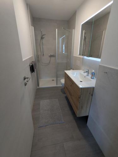a bathroom with a shower and a sink and a toilet at Ferienwohnung Dorfaue in Lauta