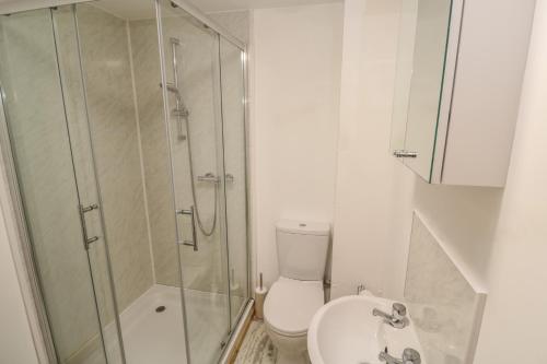 a bathroom with a shower and a toilet and a sink at The Packing House in Penzance