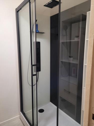 une douche avec une porte vitrée dans une salle de bain dans l'établissement Maison de campagne le Joncher, à Chouzé-sur-Loire