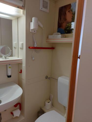 Koupelna v ubytování Logis L Auberge Gutshof