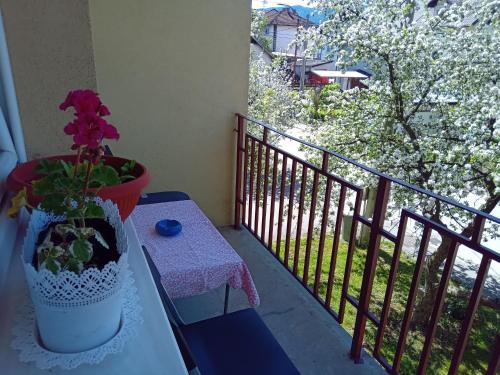 eine Topfpflanze auf einem Tisch auf einem Balkon in der Unterkunft Kleopa in Pale