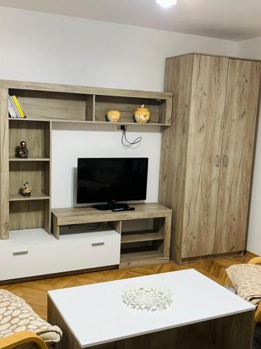 TV a/nebo společenská místnost v ubytování Apartment Park
