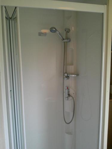 eine Duschkabine im Bad mit Dusche in der Unterkunft Kingfisher Horizon Elm 6 Berth Panel heated close to site shop in Ingoldmells