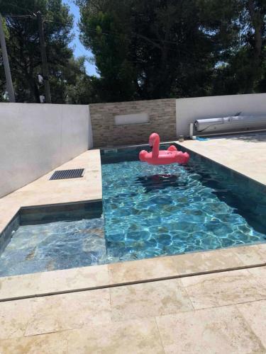 - une piscine avec un flottement rouge dans l'eau dans l'établissement Villa avec piscine Châtaigniers - Villa 3 pièces 4 personnes MAE-1773, à Rognac