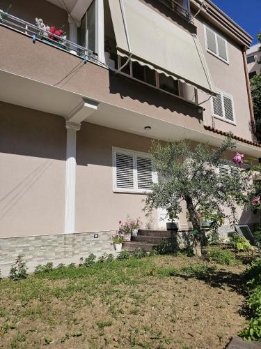 Zahrada ubytování Green Oasis