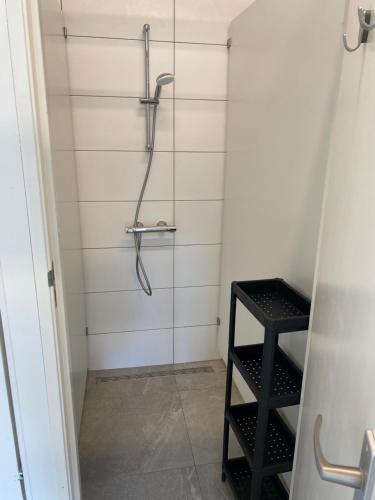 a bathroom with a shower with a glass door at Een luxe safari tent in Rijsenhout