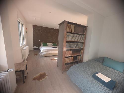 a bedroom with a bed and a book shelf at Chemin des Vignerons in Metz