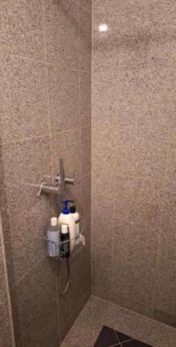 a tiled bathroom with a shower stall with aitizer at Stort og dejligt værelse med privat bad in Hornsyld