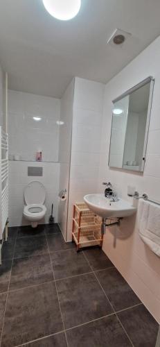 a bathroom with a toilet and a sink and a mirror at Vila Jedľa in Smokovce