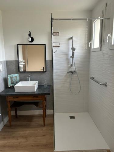 une salle de bain avec un lavabo et une douche avec un miroir dans l'établissement La Terrasse du Serre, à Plan-de-Vitrolles