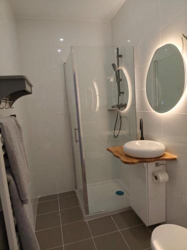 une salle de bain avec une douche, un lavabo et un miroir dans l'établissement La Datcha, à Saint-Appolinaire