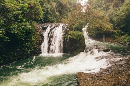 a waterfall in the middle of a river at Casa de la Cascada in Pedro Vicente Maldonado
