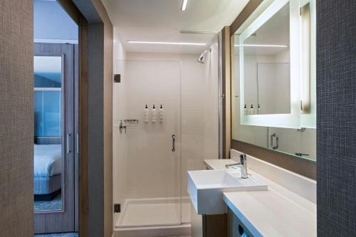 Koupelna v ubytování SpringHill Suites by Marriott Austin Cedar Park