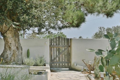 Fotografie z fotogalerie ubytování Oliveraie Green House v destinaci Lichnaftia