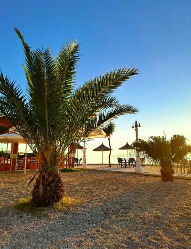 Fotografie z fotogalerie ubytování Pablo's Moto Inn v destinaci Navaricë