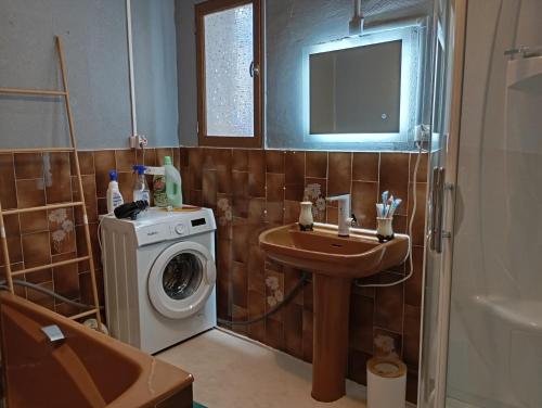 une salle de bain avec un lavabo et une machine à laver dans l'établissement La planque, à Puilaurens