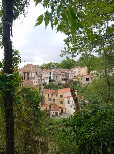 a group of houses on a hill with trees at Studio des fleurs in Céret
